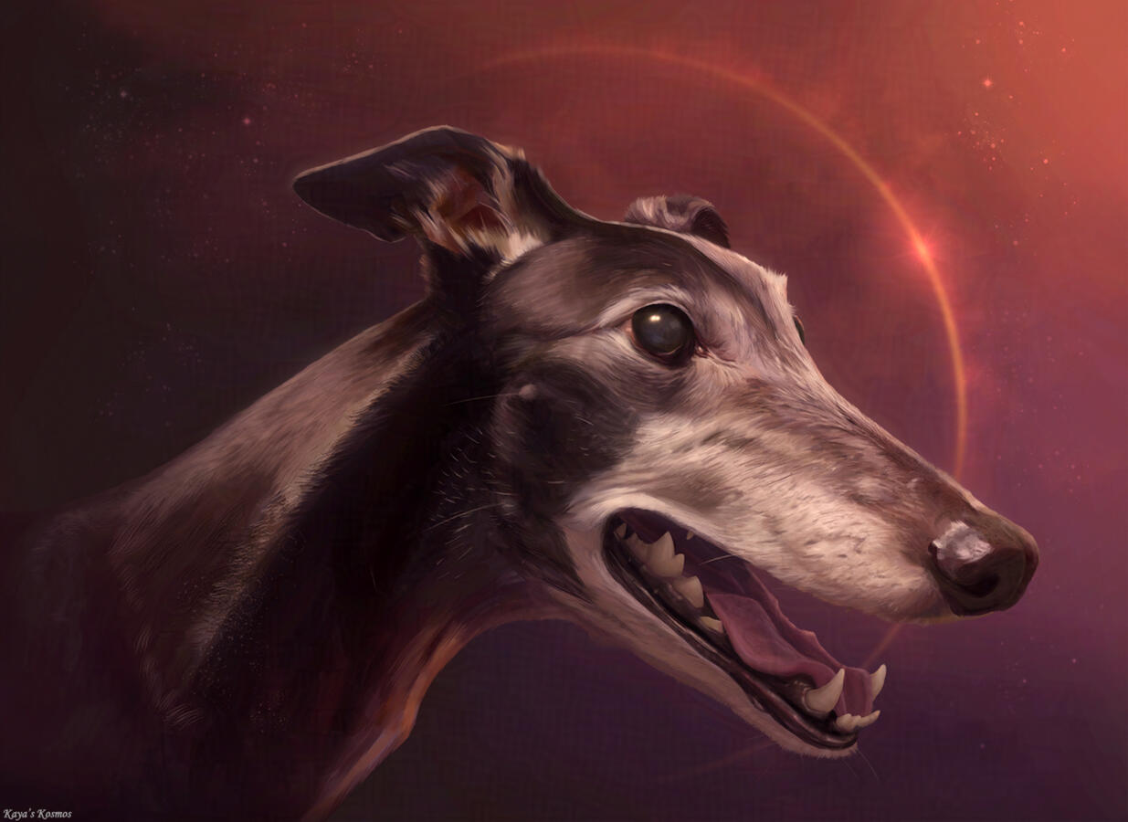 Rio Portrait