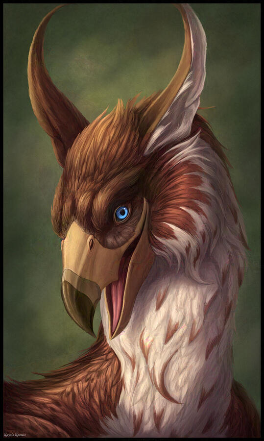 Phyrebird Phyrebird