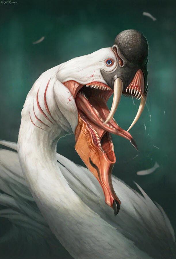 Sabre Toothed Swan
