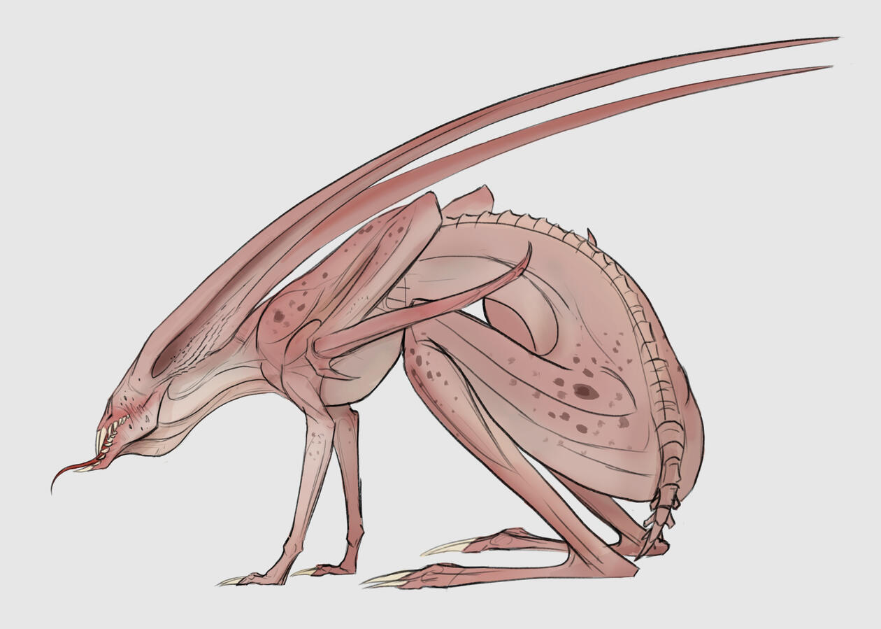 Lapiaphrax Lapiaphrax