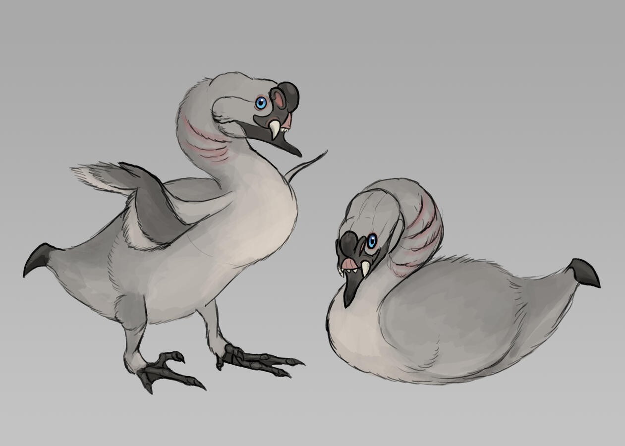 Sabre toothed cygnets Sabre toothed cygnets
